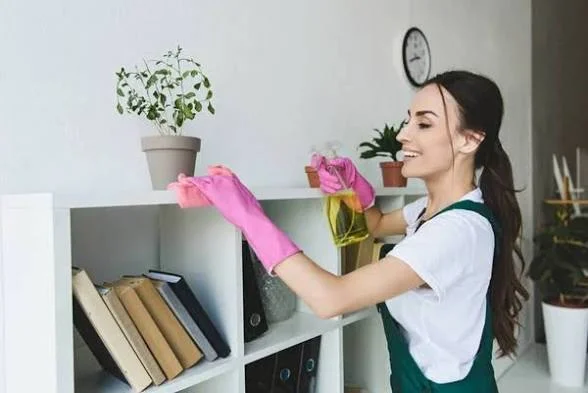 Büyükçekmece temizlik şirketi