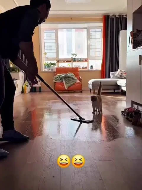 İnşaat Sonrası Temizlik
